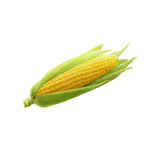 Sweet Corn Cob (Bhutta) – 1 pc