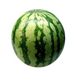 Watermelon – Medium (Tarbuj) – 2.5 kg